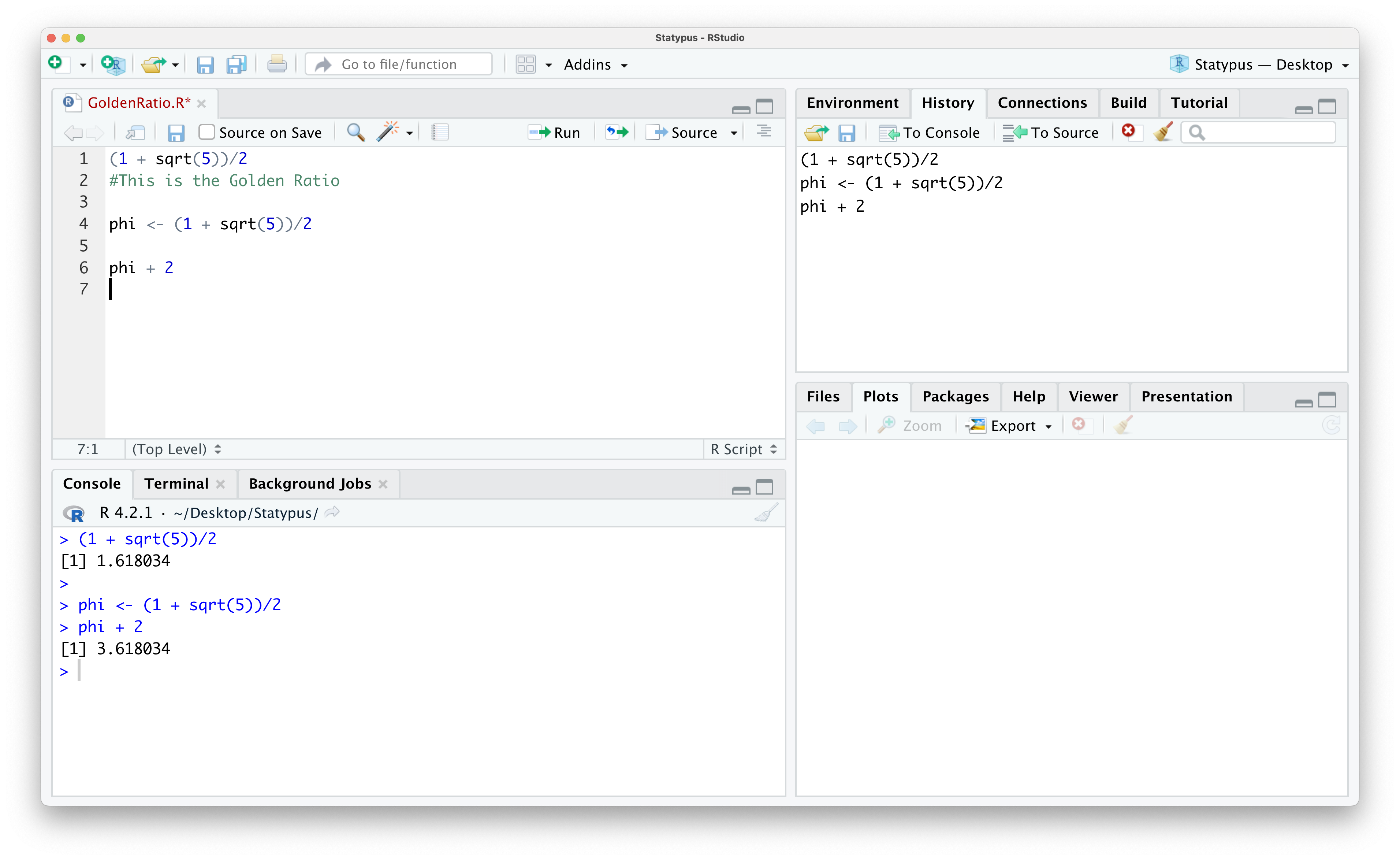 Looking at the History Tab